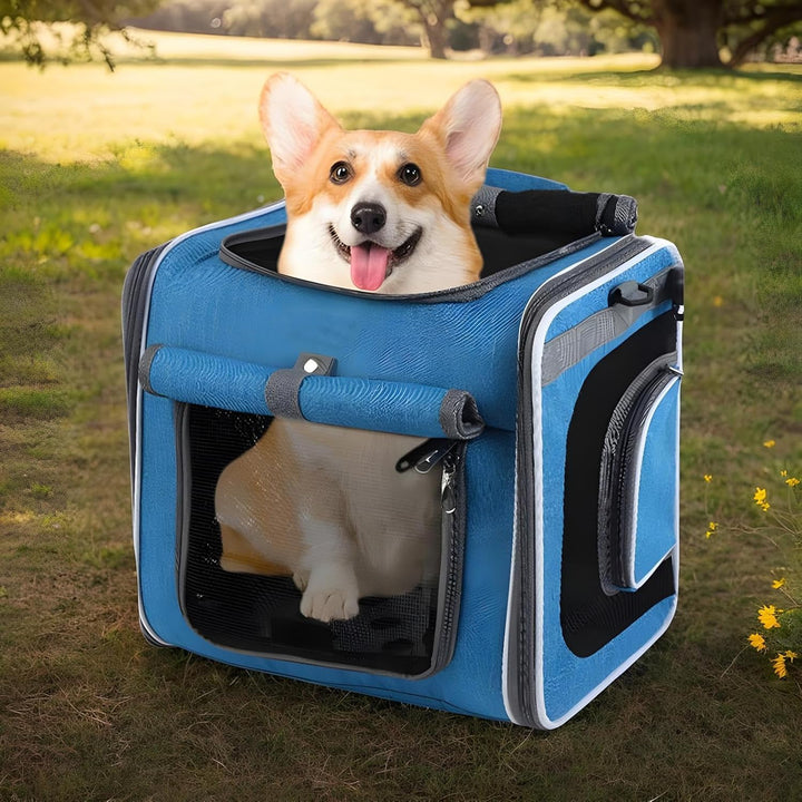 Fahrrad Haustierkorb - Fahrrad Hundekorb Vorne | Einstellbare Tasche Rucksack Belüfteter Transportbe