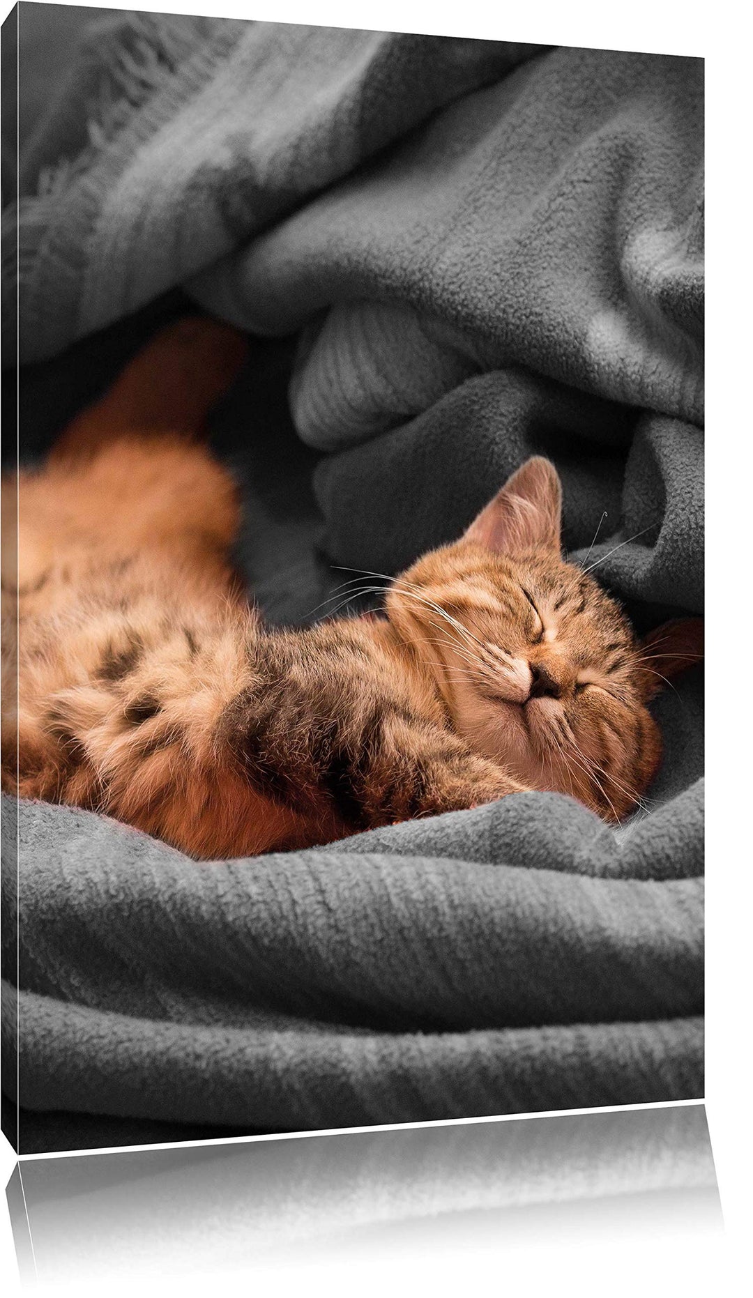Pixxprint Bezaubernde schlafende Katze schwarz/weiss, Format: 80x120 auf hochkantiges Leinwand, ries