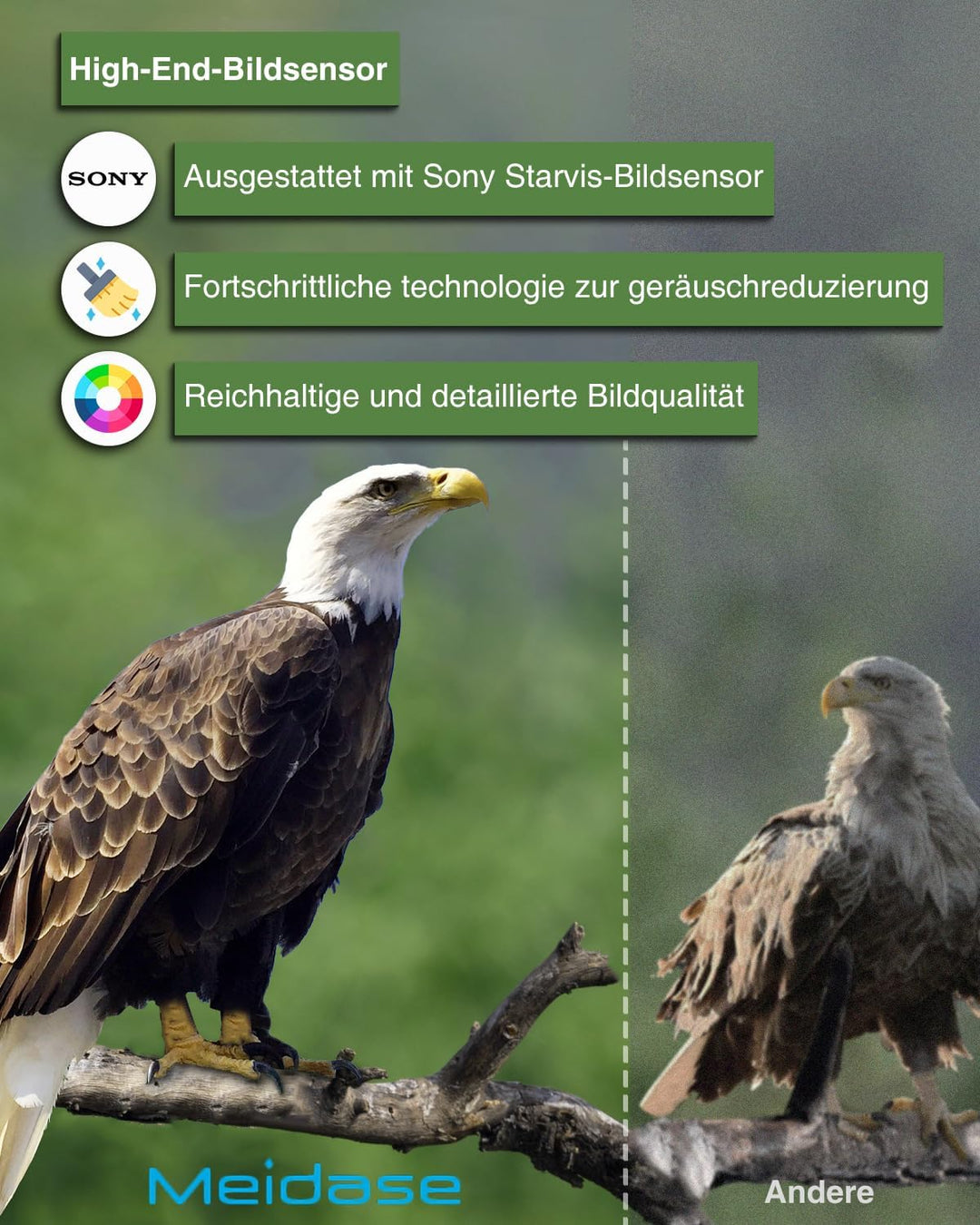 Meidase P200P Wildkamera WLAN, Wiederaufladbarem 8000-mAh-Lithium-Akku, 64MP H.264 1296P, Wildtierka
