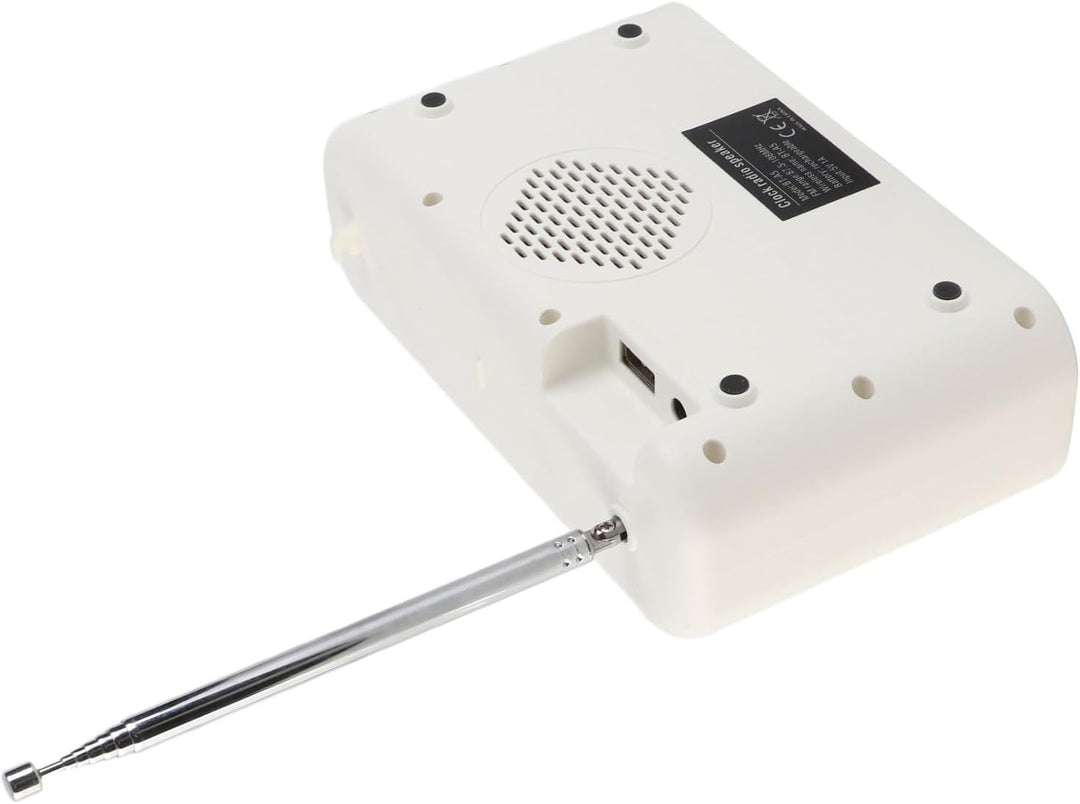 Digitaler Radiowecker, Dual Wecker, Lautsprecher, UKW Radio mit USB Ladeanschluss, 5.0 Verbindung, L