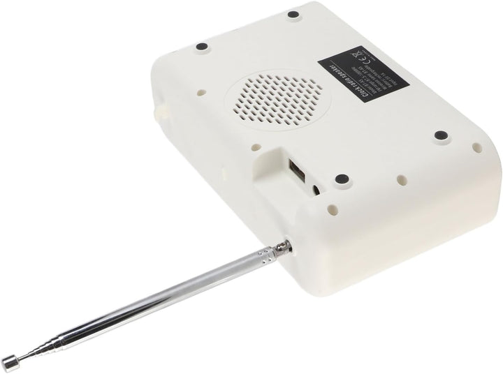 Digitaler Radiowecker, Dual Wecker, Lautsprecher, UKW Radio mit USB Ladeanschluss, 5.0 Verbindung, L
