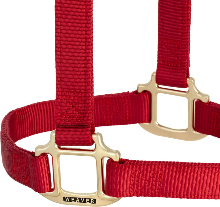 WEAVER Leather, Nicht verstellbares Halfter Rot/Ausflug, einfarbig (Getaway Solids) Average Horse, R