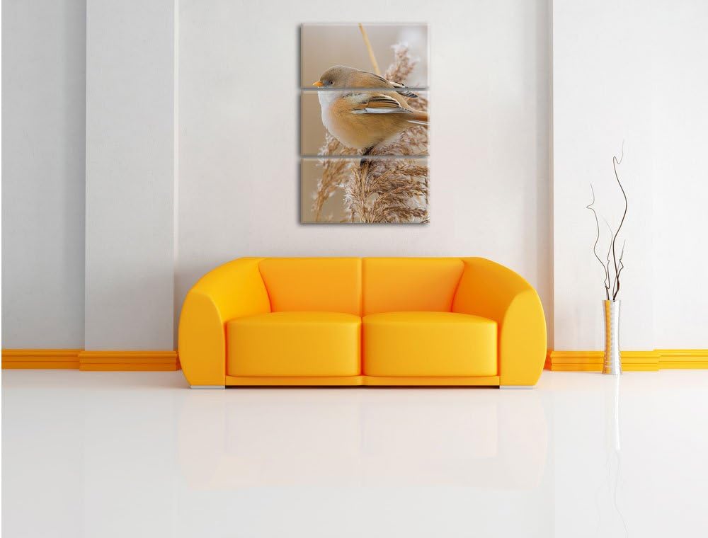 Pixxprint Kleiner Vogel auf Weizen als Leinwandbild 3 teilig/Grösse: 3 Teilig (120x80) / Wandbild/Ku