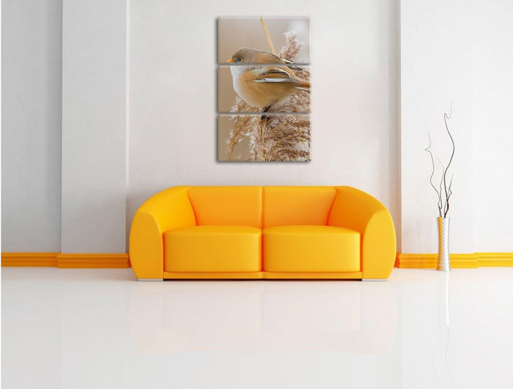 Pixxprint Kleiner Vogel auf Weizen als Leinwandbild 3 teilig/Grösse: 3 Teilig (120x80) / Wandbild/Ku