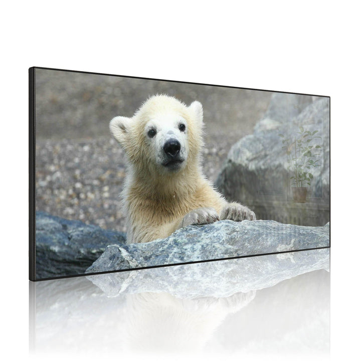 banjado Magnettafel schwarz 78 x 37cm / Magnetwand Metall/Magnetpinnwand als Memoboard/Pinnwand Magn
