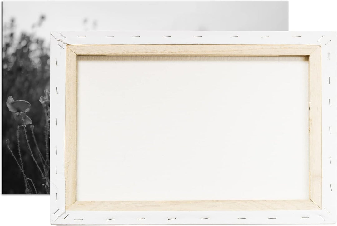 deyoli blühender Lavendel und Mohn Effekt: Schwarz&Weiss Format: 60x40 als Leinwandbild, Motiv ferti