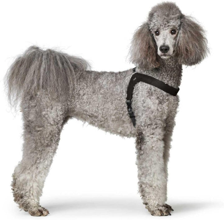 Hunter Hundegeschirr DIMARO, Farbe: schwarz, weiches & Robustes Rindsleder, hervorragende Passform,