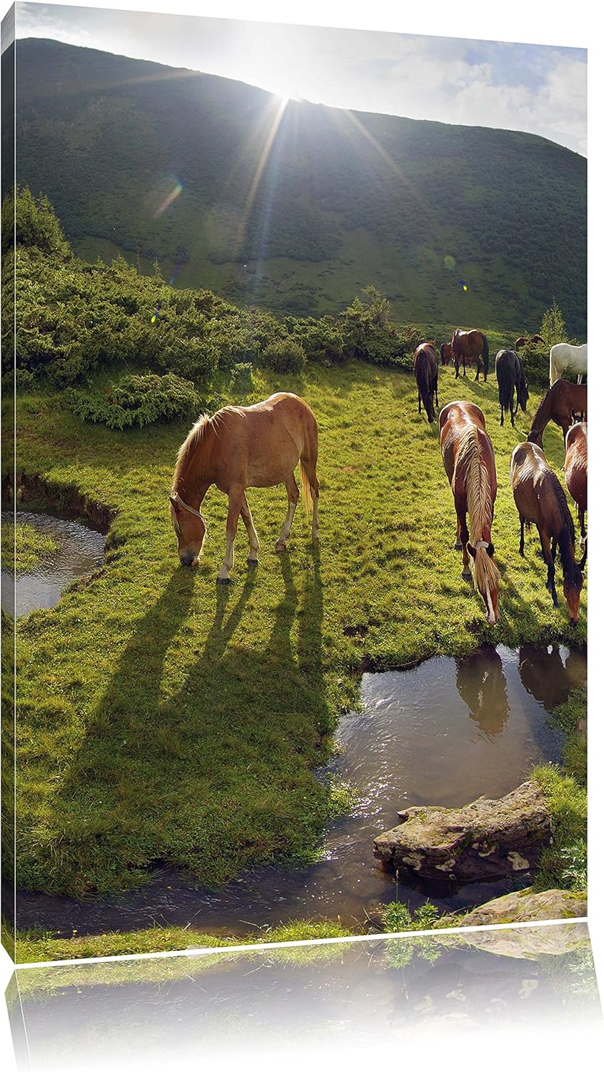 Pferde auf Wiese, Format: 100x70 auf Leinwand, XXL riesige Bilder fertig gerahmt mit Keilrahmen, Kun