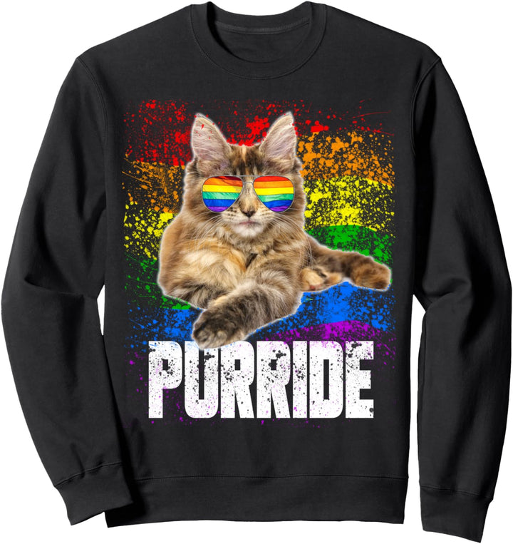LGBT Cat Lover Purride Gay Pride Month Flag Awareness Sweatshirt