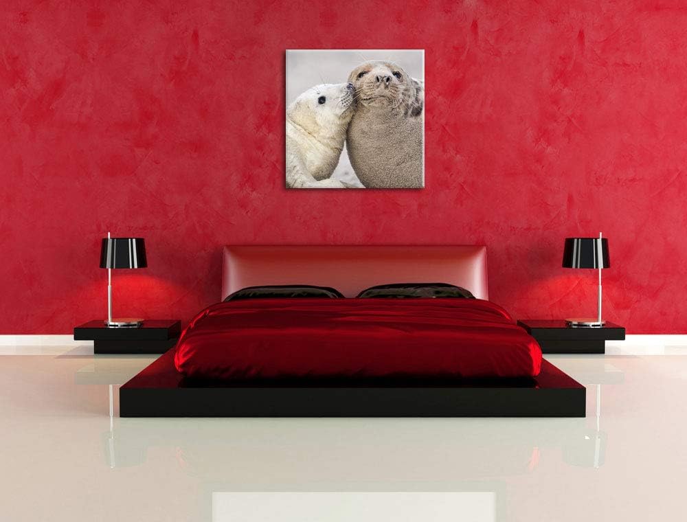 Schmusende Robben, Format: 70x70 auf Leinwand, XXL riesige Bilder fertig gerahmt mit Keilrahmen, Kun