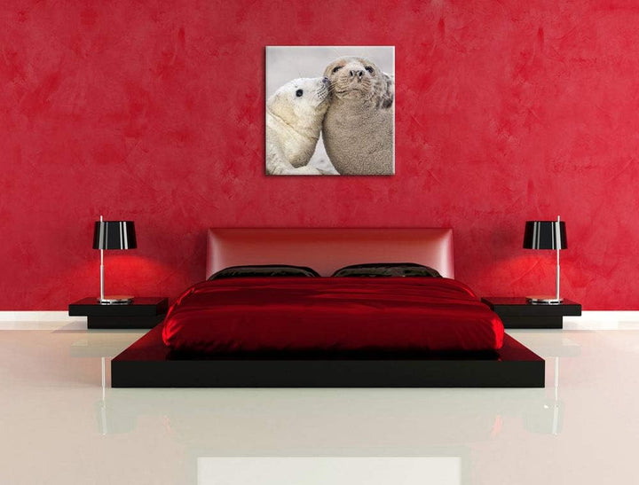 Schmusende Robben, Format: 70x70 auf Leinwand, XXL riesige Bilder fertig gerahmt mit Keilrahmen, Kun