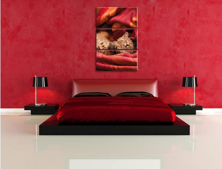 Pixxprint Babykatze als Leinwandbild/Grösse: 3 Teilig (120x80) cm/Wandbild/Kunstdruck/fertig bespann