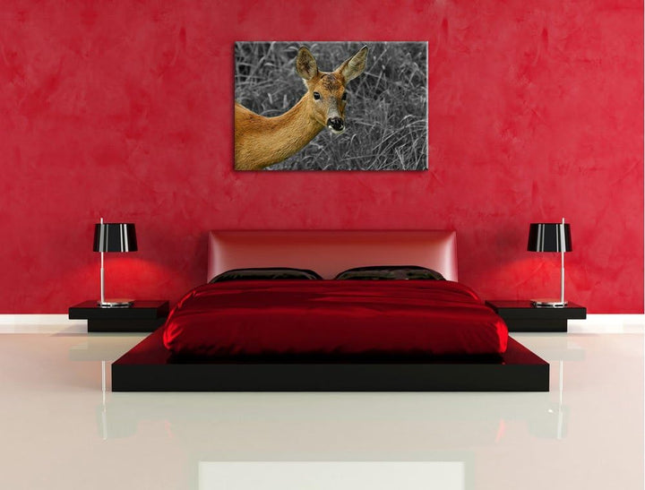 stolzes Reh beim Fressen schwarz/weiss auf Leinwand, XXL riesige Bilder fertig gerahmt mit Keilrahme