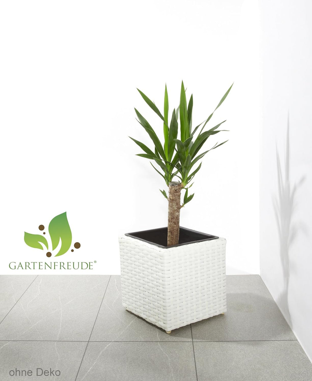 GARTENFREUDE Pflanzkübel Pflanzgefässe Blumenkübel Blumentopf für Blumen etc. Polyrattan 28 x 28 x 2
