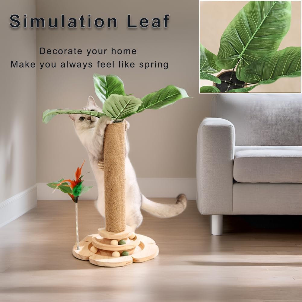 Marchul 5 in 1 Katzenspielzeug, Katzenkratzbaum mit Sisalseil, Hölzerne Katze Track Toy Ball mit Spr