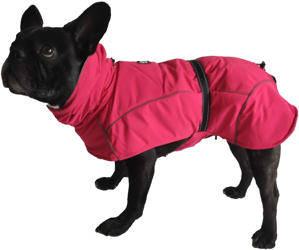 Croci Wandermantel Hundemantel Wasserdicht für Hunde - Gepolsterter Wintermantel thermoregulierendes