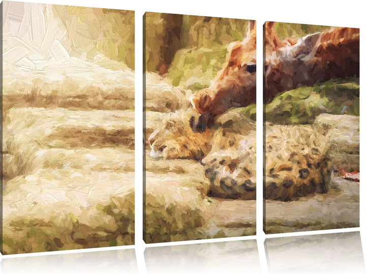 Pixxprint Leopard und Giraffe / 3-Teilig/Gesamtmass 120cm Leinwandbild bespannt auf Holzrahmen/Wandb