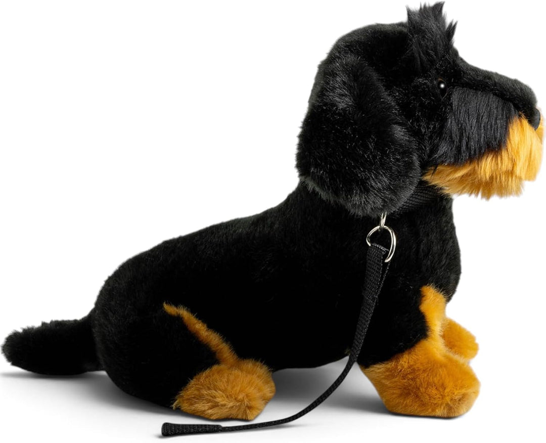 Carl Dick Dackel, Rauhaardackel mit Leine sitzend schwarz, Hund, Plüschtier, Kuscheltier ca. 30cm 35