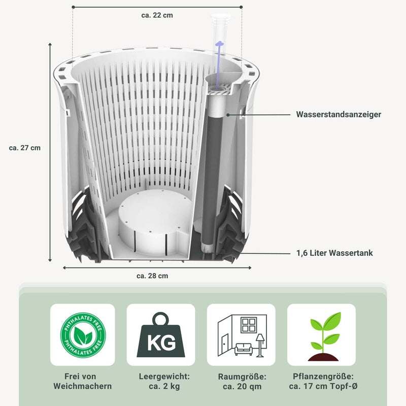 AIRY Pot M mit Birkenfeige & 6-L Airy Base Substrat • Natürlicher Luftreiniger filtert Schadstoffe,