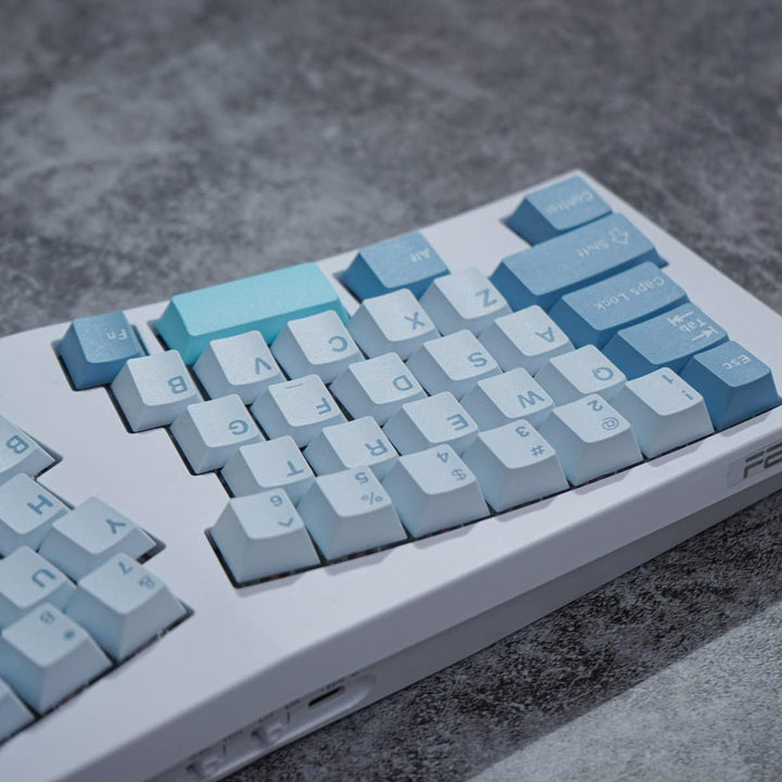 172 Tasten Double Shot Shoko Tastenkappen Cherry Profile Fit for 61/64/87/104/108 Cherry Mx Switches