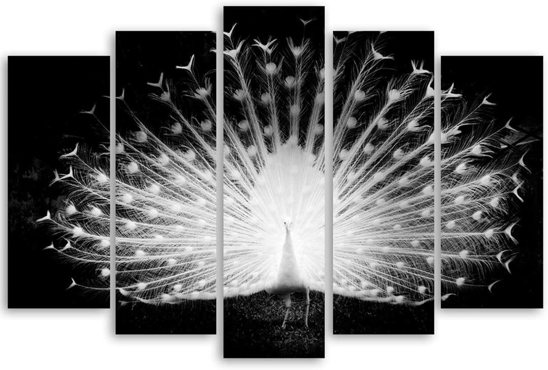 Feeby Bilder 5 Teile XXL Natur Vogel Pfau Typ A 250x120 cm Wohnzimmer Schlafzimmer Büro Flur Küche W