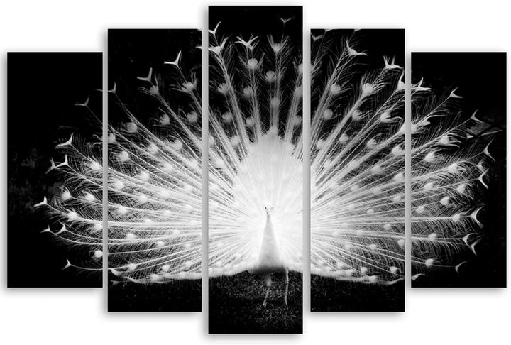 Feeby Bilder 5 Teile XXL Natur Vogel Pfau Typ A 250x120 cm Wohnzimmer Schlafzimmer Büro Flur Küche W