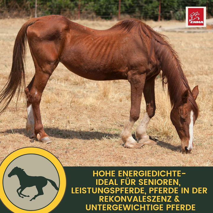 EMMA Reiskeimöl für Pferde + Aminosäuren Pferd I 2 * 1 L 30ml Liquid + Paste Amino Muskel Plus Vitam