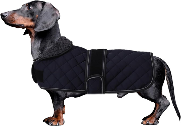 MOREZI Dackel Hund Winterjacke. wasserdichte Hundejacke. Mit Wolle, inneren und verstellbaren Schult