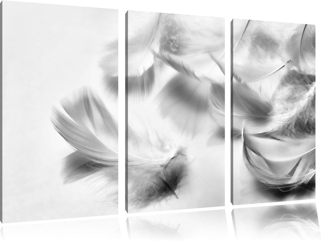Pixxprint Weisse Feder auf schwarzem Stein als Leinwandbild/Grösse: 3 Teilig (120x80) cm/Wandbild/Ku