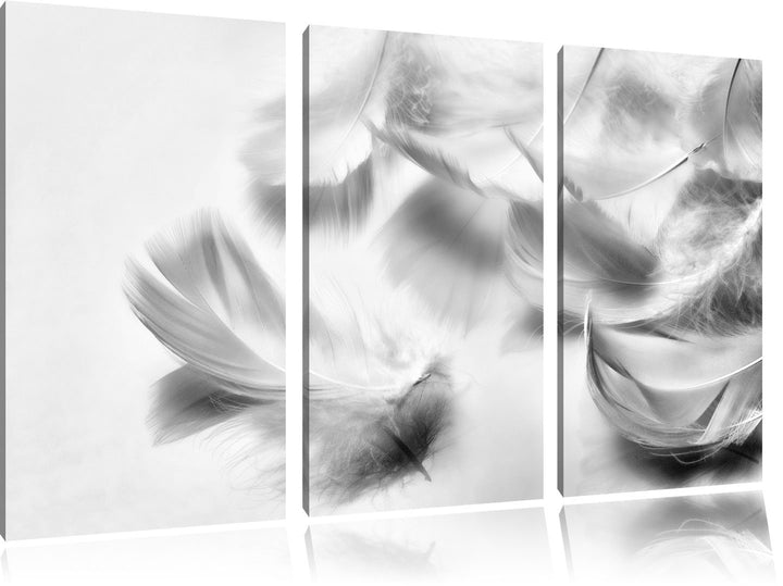 Pixxprint Weisse Feder auf schwarzem Stein als Leinwandbild/Grösse: 3 Teilig (120x80) cm/Wandbild/Ku