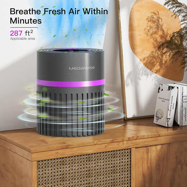 MEGAWISE Büro Luftreiniger mit 3-in-1 True HEPA Filter Desktop Luftreiniger für Haustiere, Raucher,