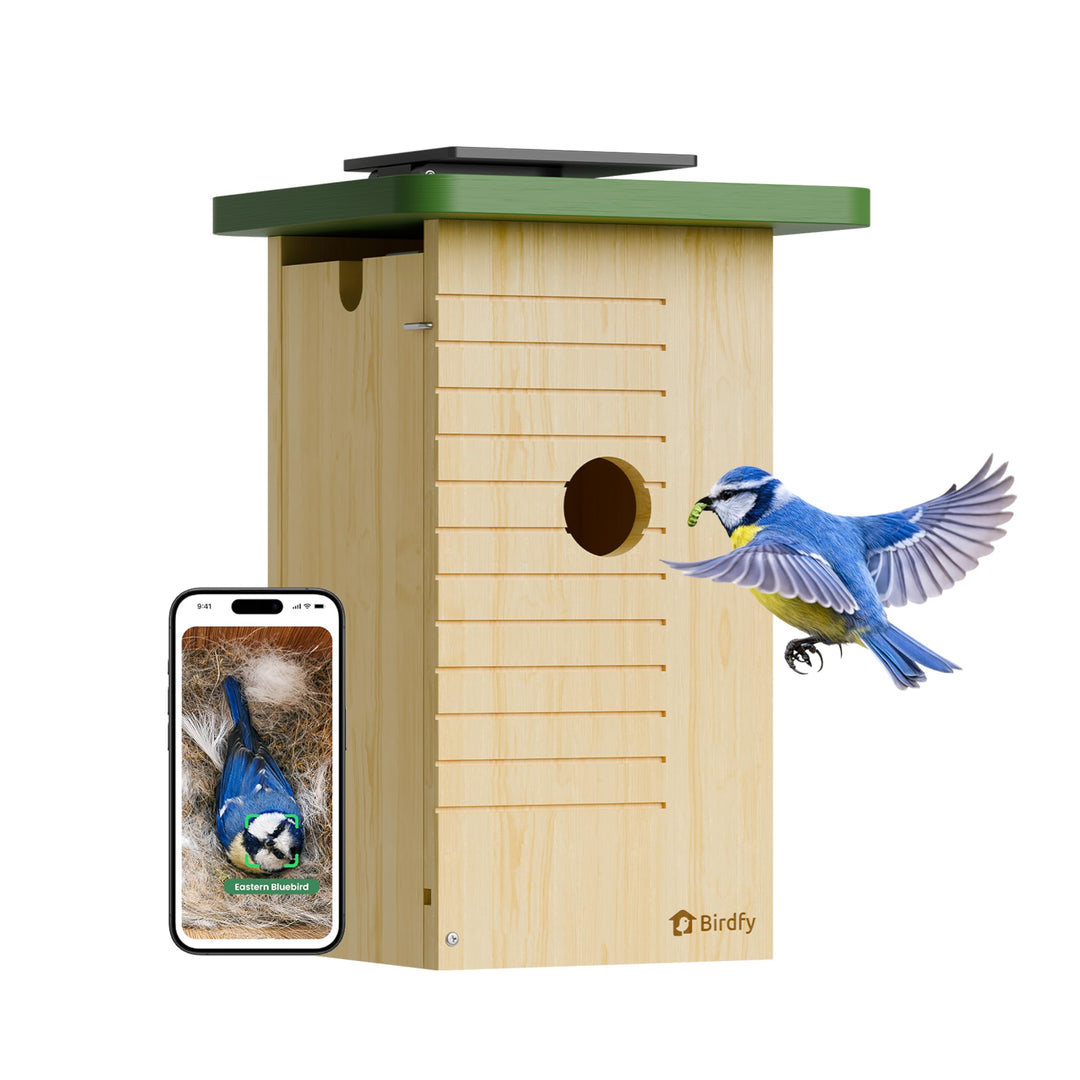 Birdfy Vogelhaus mit Kamera Solar, 1080P FHD Live-View, Echtzeitbeobachtung des Nestbaus und der Bru