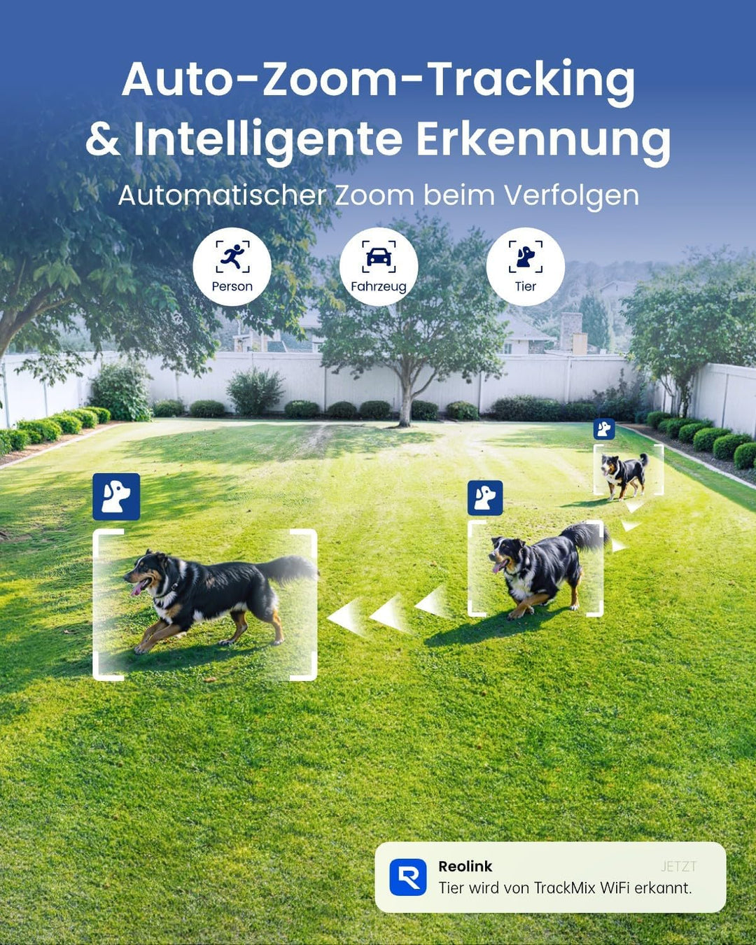 Reolink 4K 8MP Wi-Fi 6 PTZ Überwachungskamera Aussen mit Dual-Objektiv, Auto-Tracking-Zoom, 30m Farb