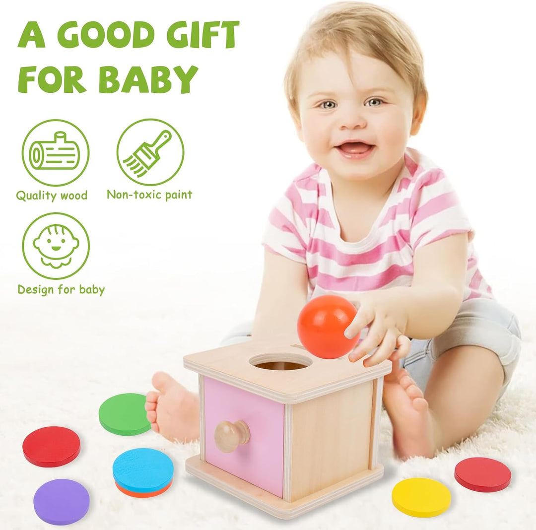 Adena Montessori Spielzeug ab 6 Monate – 2-in-1 Holz Münzbox & Ballbox für Babys – Lernspielzeug zur