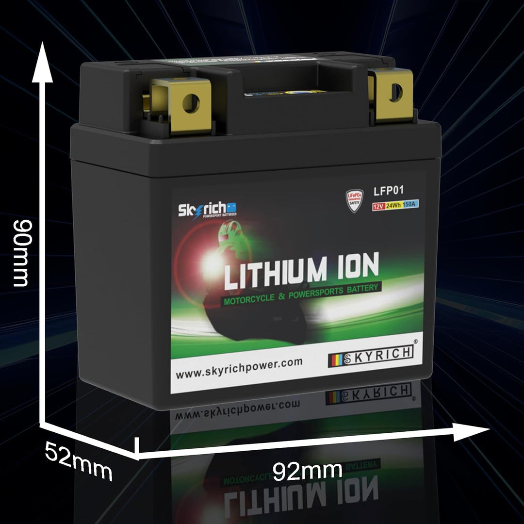 Skyrich Lithium Ion LTKTM04L ohne Pflege