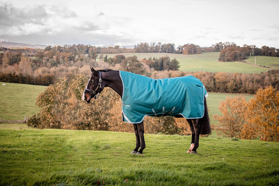 Horseware Amigo Bravo Turnout 12 Wug lite Storm Green Grösse wählbar 115, 115