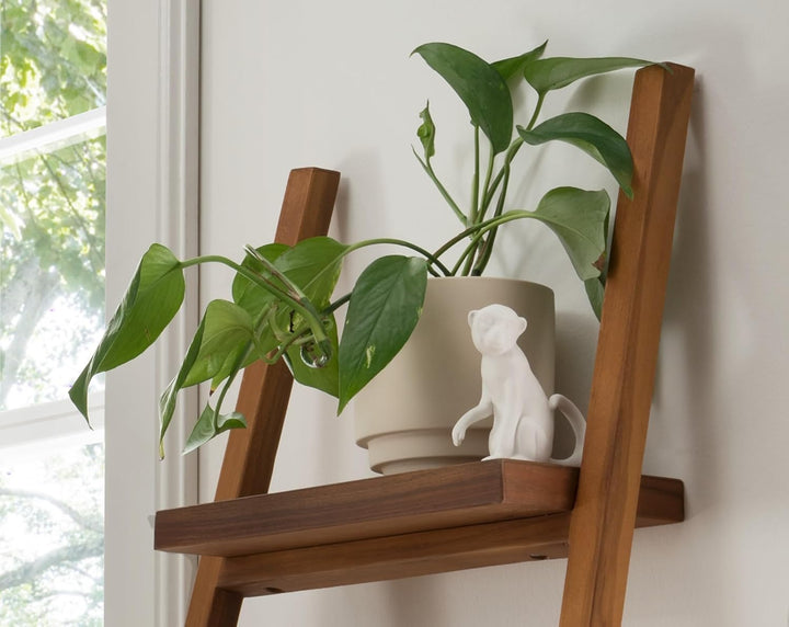 Destiny Handtuchleiter SPA & Living Handtuchhalter 51x39x147 cm Teak