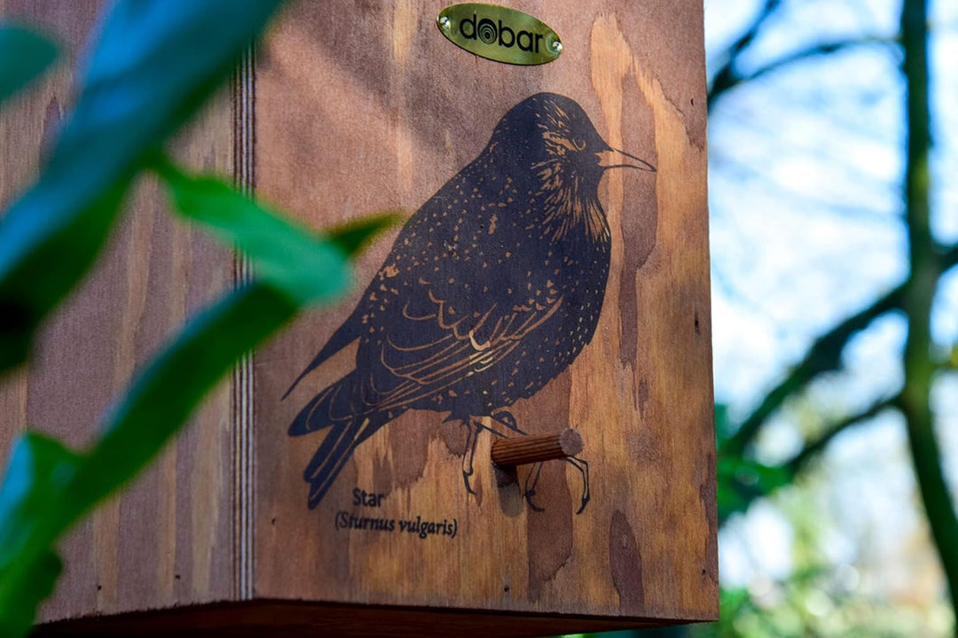 dobar® green label 22362FSCe Nistkasten "Star" - Starenkasten aus Holz - Nisthilfe für Wildvögel - W