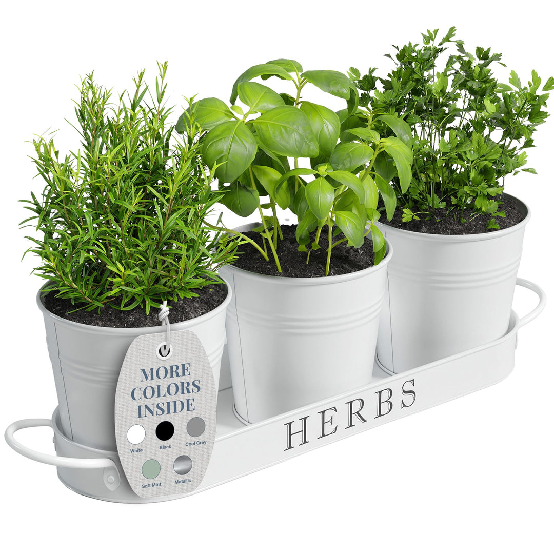 Barnyard Designs Kräutertopf-Pflanzset mit Tablett für den Innengarten oder den Aussenbereich, (3er-