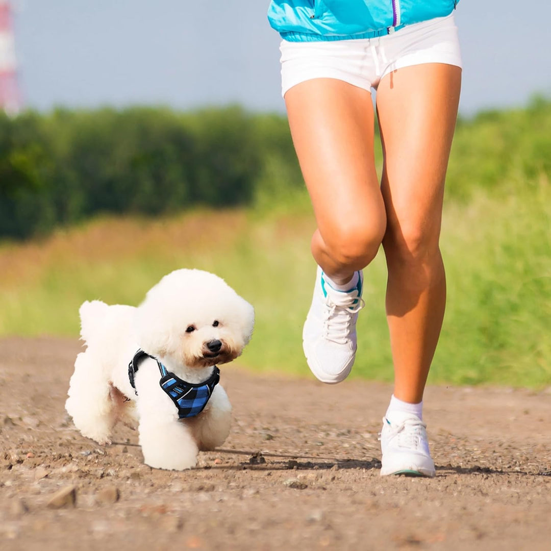 Hundegeschirr und Leine, Hundegeschirr mit 1,8 m Langer, einziehbarer Multifunktions-Hundeleine, mit