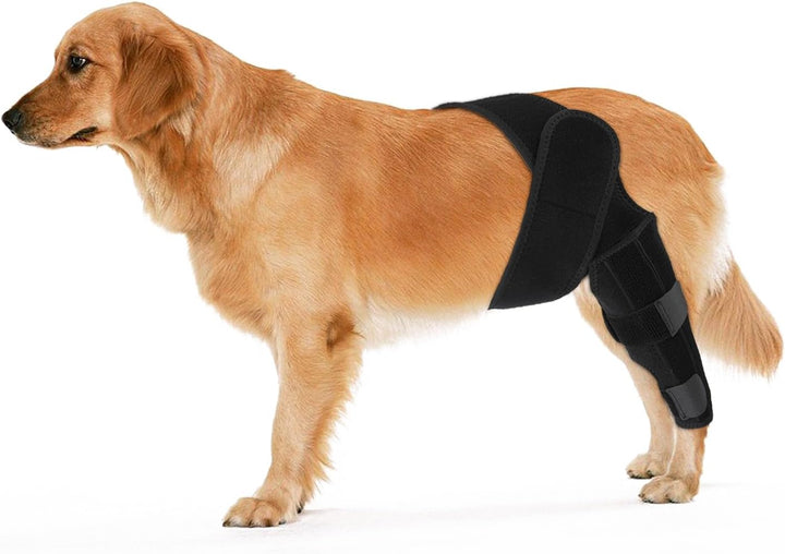 KINBOM Hunde Kniebandage Hinterbein, Hunde Hinterbein Bandage Hunde-ACL-Klammer Hinterbein Hunde-Kni