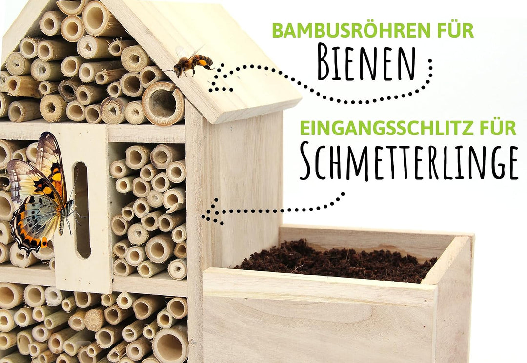 FLORTUS Insektenhotel Lavendel für Bienen &amp; Schmetterlinge | Naturbelasses Insektenhotel gross für G