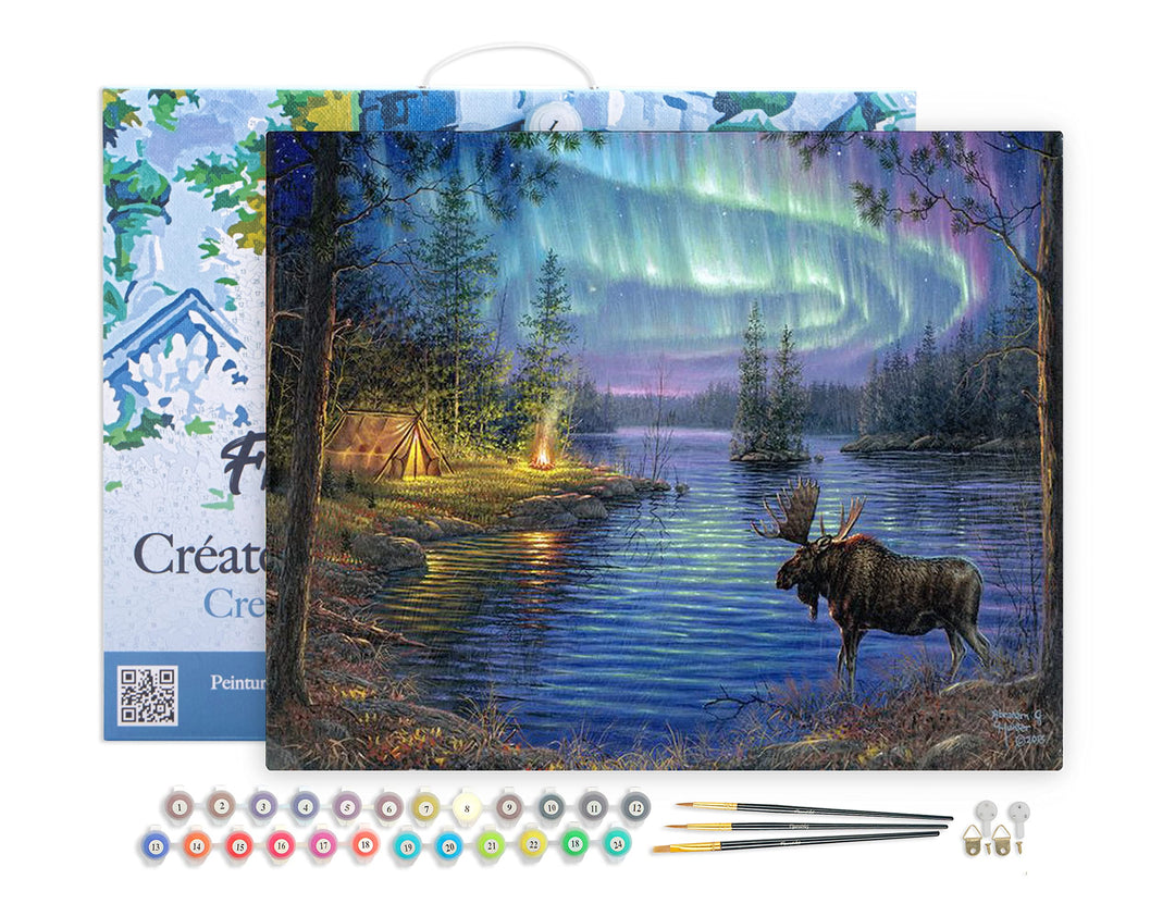 Figured'Art Malen Nach Zahlen Erwachsene Mit Rahmen Elch und Aurora Borealis - Paint by Numbers Bast