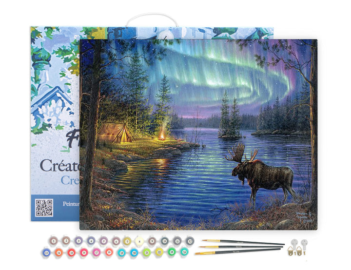 Figured'Art Malen Nach Zahlen Erwachsene Mit Rahmen Elch und Aurora Borealis - Paint by Numbers Bast