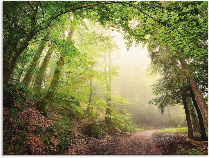 Glasbilder Wandbild Glas Bild einteilig 80x60 cm Querformat Wald Baum Natur Landschaft Nebel Sonne S