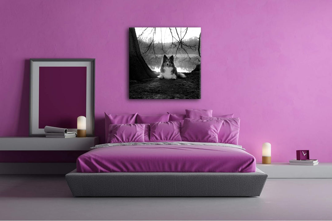 deyoli Niedlicher Hund beim Sonnenuntergang Format: 60x60 Effekt: Schwarz&Weiss als Leinwandbild, Mo