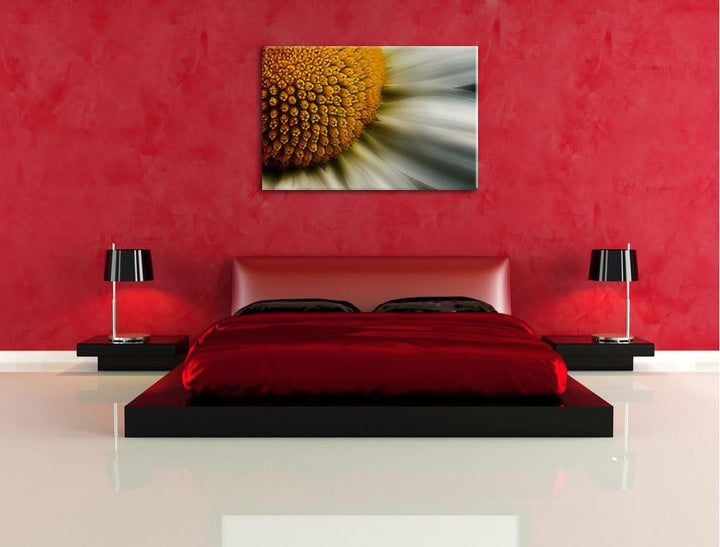 Pixxprint anmutige Margerite auf Leinwand, XXL riesige Bilder fertig gerahmt mit Keilrahmen, Kunstdr