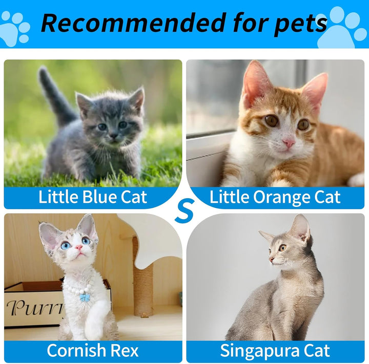Wakytu transportbox Katze，Fluggenehmigter erweiterbarer Haustiertransportbeutel für kleine Katzen, F