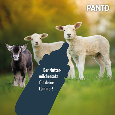 PANTO Lämmermilch Milchersatz 10 kg – Milchaustauscher für Schaflämmer & Ziegenlämmer, vollwertiger