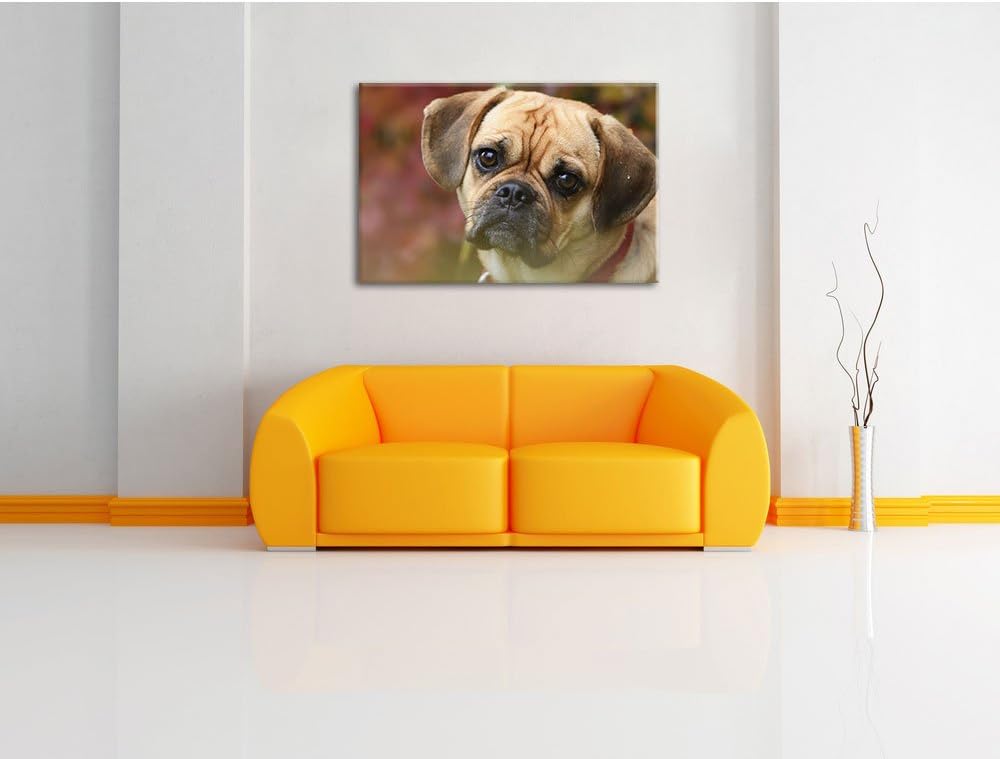Pixxprint Mops Welpe als Leinwandbild/Grösse: 100x70 cm/Wandbild/Kunstdruck/fertig bespannt, 100x70